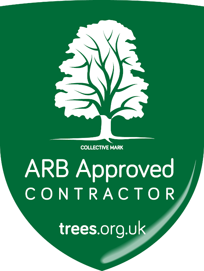 D&B Tree Services Bristol ARB Approved Contractor
