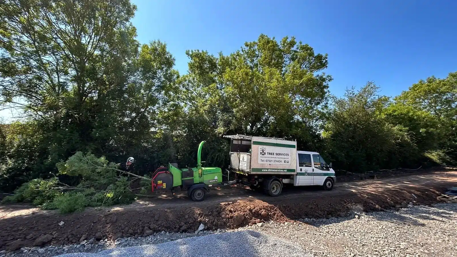 commercial tree removal services bristol