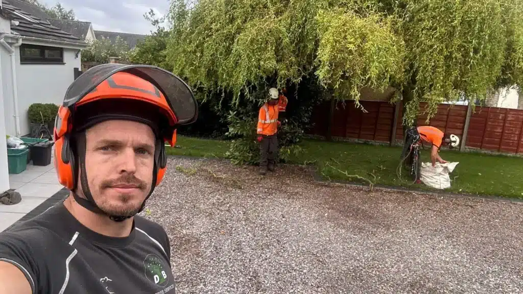 The Benefits of Tree Crown Reduction for Your Property